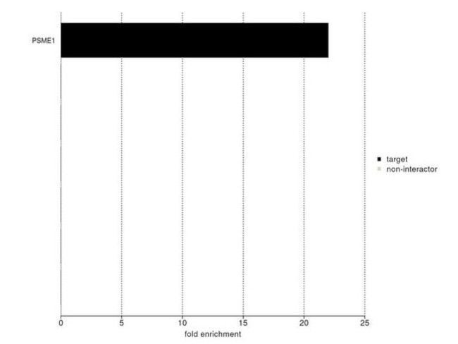 PSME1 Antibody