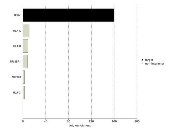 RSK2 Antibody