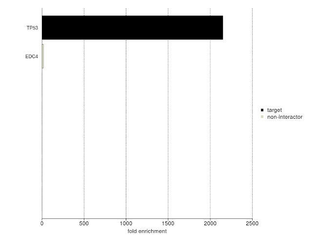 p53 Antibody