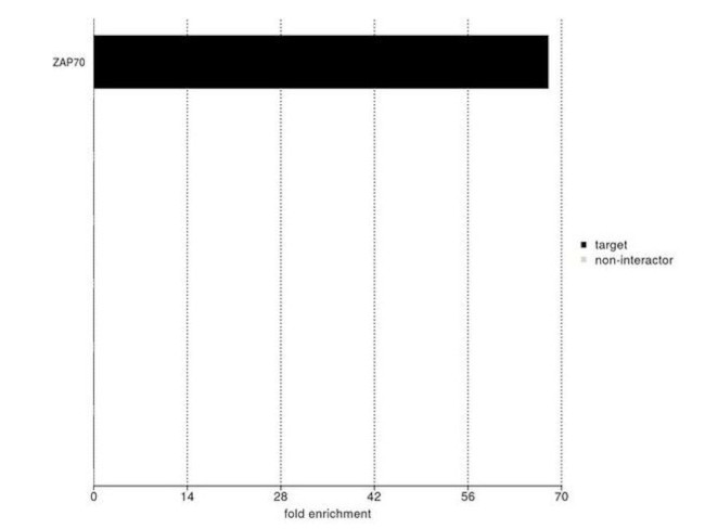 Zap-70 Antibody