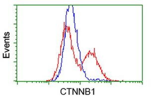 Beta-catenin Antibody in Flow Cytometry (Flow)