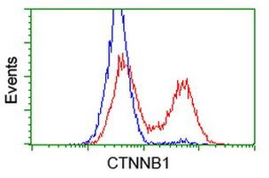 Beta-catenin Antibody in Flow Cytometry (Flow)