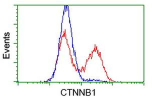 Beta-catenin Antibody in Flow Cytometry (Flow)