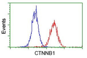 Beta-catenin Antibody in Flow Cytometry (Flow)