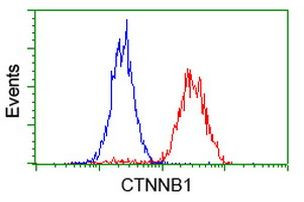 Beta-catenin Antibody in Flow Cytometry (Flow)