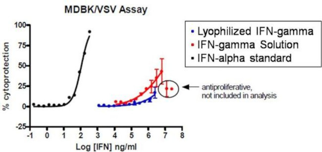 Bovine IFN-gamma Protein in ELISA (ELISA)