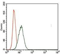 Brachyury Antibody in Flow Cytometry (Flow)