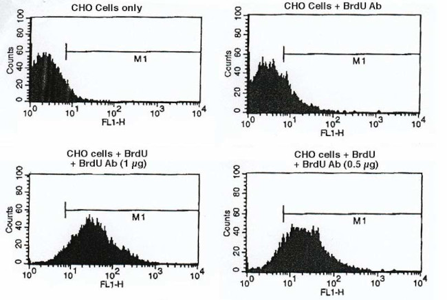 BrdU Antibody in Flow Cytometry (Flow)