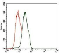 C17orf53 Antibody in Flow Cytometry (Flow)