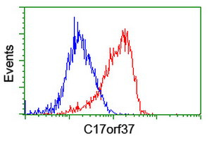 C17orf37 Antibody in Flow Cytometry (Flow)