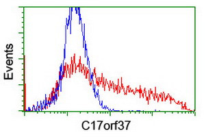 C17orf37 Antibody in Flow Cytometry (Flow)