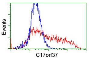 C17orf37 Antibody in Flow Cytometry (Flow)