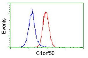 C1orf50 Antibody in Flow Cytometry (Flow)