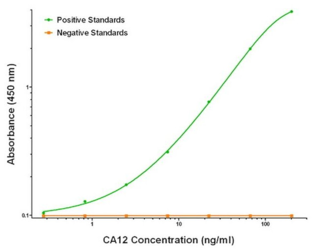 CA12 Antibody in ELISA (ELISA)