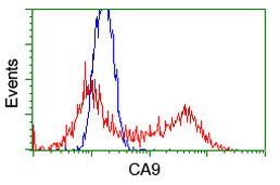 CA9 Antibody in Flow Cytometry (Flow)