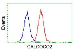 CALCOCO2 Antibody in Flow Cytometry (Flow)