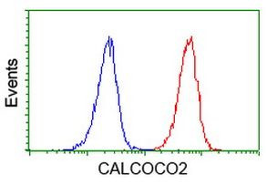 CALCOCO2 Antibody in Flow Cytometry (Flow)