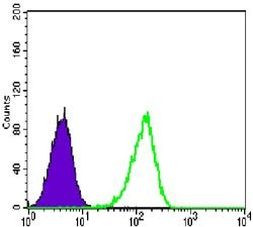 PRMT4 Antibody in Flow Cytometry (Flow)