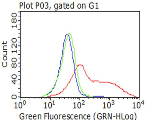 CAT Antibody in Flow Cytometry (Flow)