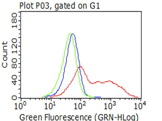 CAT Antibody in Flow Cytometry (Flow)