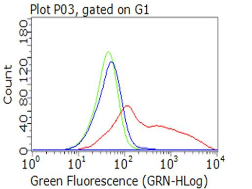 CAT Antibody in Flow Cytometry (Flow)