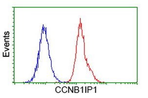 CCNB1IP1 Antibody in Flow Cytometry (Flow)