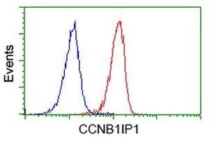 CCNB1IP1 Antibody in Flow Cytometry (Flow)