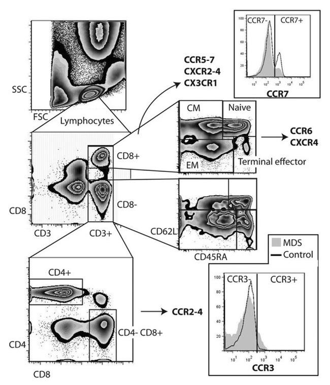 CD3e Antibody in Flow Cytometry (Flow)