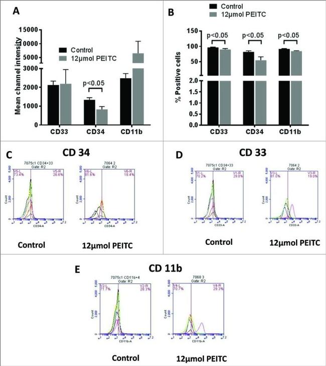 CD34 Antibody in Flow Cytometry (Flow)