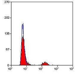 CD20 Antibody in Flow Cytometry (Flow)