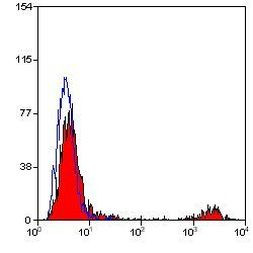 CD20 Antibody in Flow Cytometry (Flow)