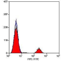 CD20 Antibody in Flow Cytometry (Flow)