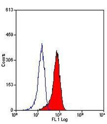 CD206 Antibody in Flow Cytometry (Flow)