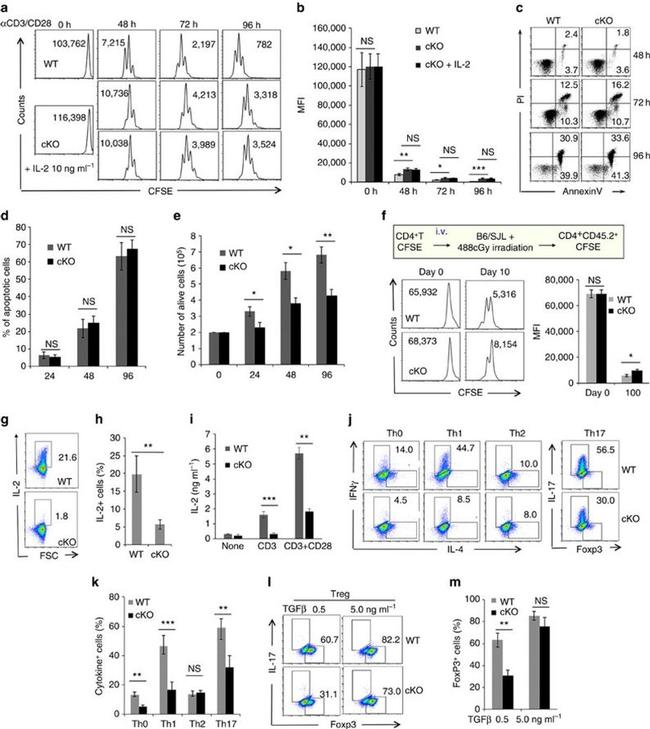 CD3e Antibody in Flow Cytometry (Flow)