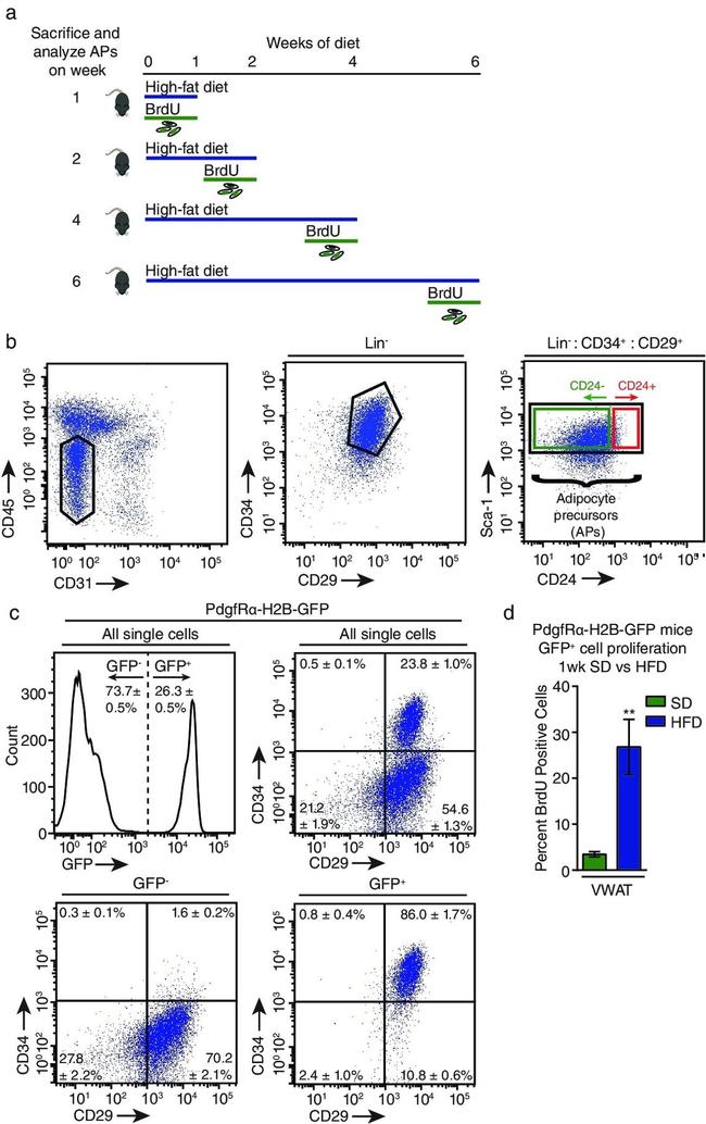 Ly-6A/E (Sca-1) Antibody in Flow Cytometry (Flow)