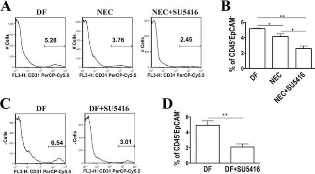 CD31 (PECAM-1) Antibody