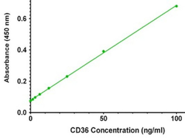 CD36 Antibody in ELISA (ELISA)