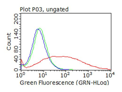 CD36 Antibody in Flow Cytometry (Flow)