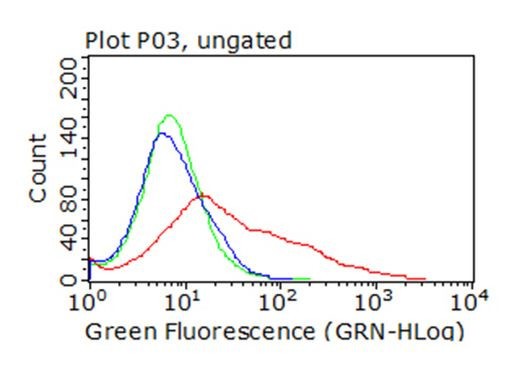 CD36 Antibody in Flow Cytometry (Flow)