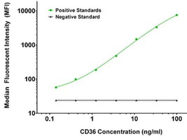 CD36 Antibody in Luminex (LUM)