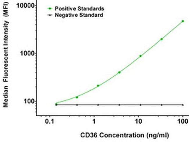 CD36 Antibody in Luminex (LUM)