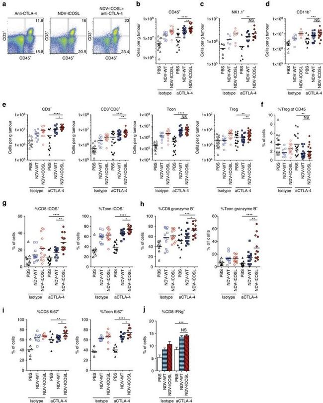 CD3e Antibody in Flow Cytometry (Flow)