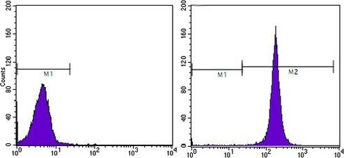 CD44 Antibody in Flow Cytometry (Flow)