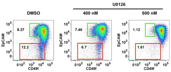 CD49f (Integrin alpha 6) Antibody in Flow Cytometry (Flow)