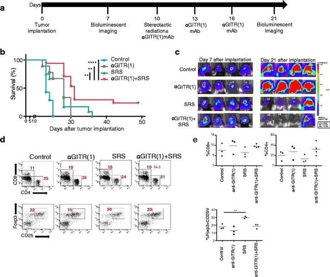 CD4 Antibody in Flow Cytometry (Flow)