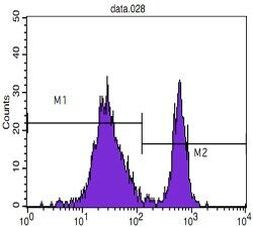 CD4 Antibody in Flow Cytometry (Flow)