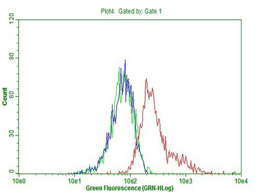 CD63 Antibody in Flow Cytometry (Flow)