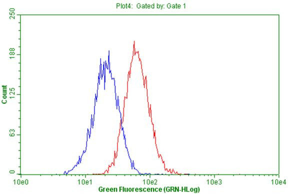 CD63 Antibody in Flow Cytometry (Flow)