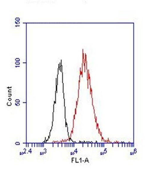 CD8 Antibody in Flow Cytometry (Flow)