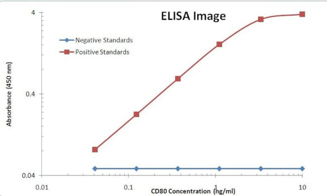 CD80 Antibody in ELISA (ELISA)